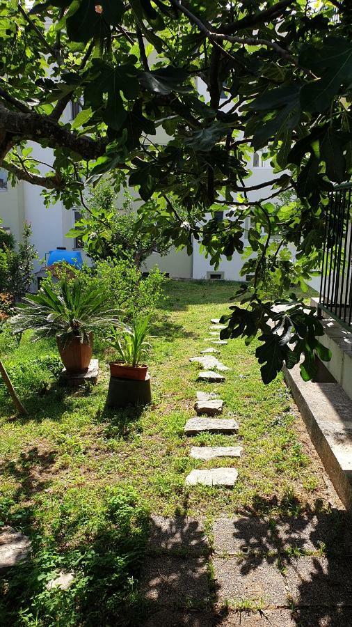 Lav Apartments Herceg Novi Exterior photo